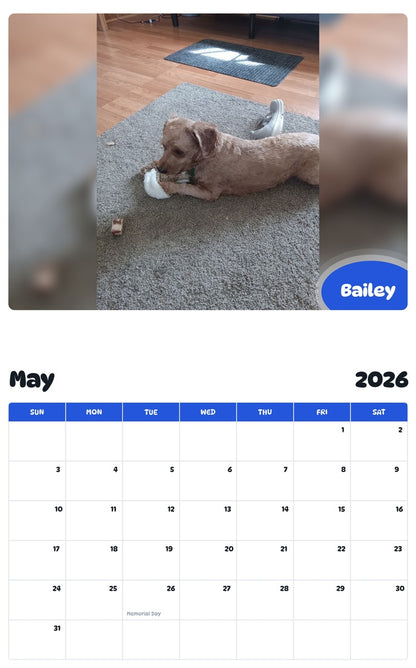 2026 - 2027 Bailey - Pawidols Pet Calendar