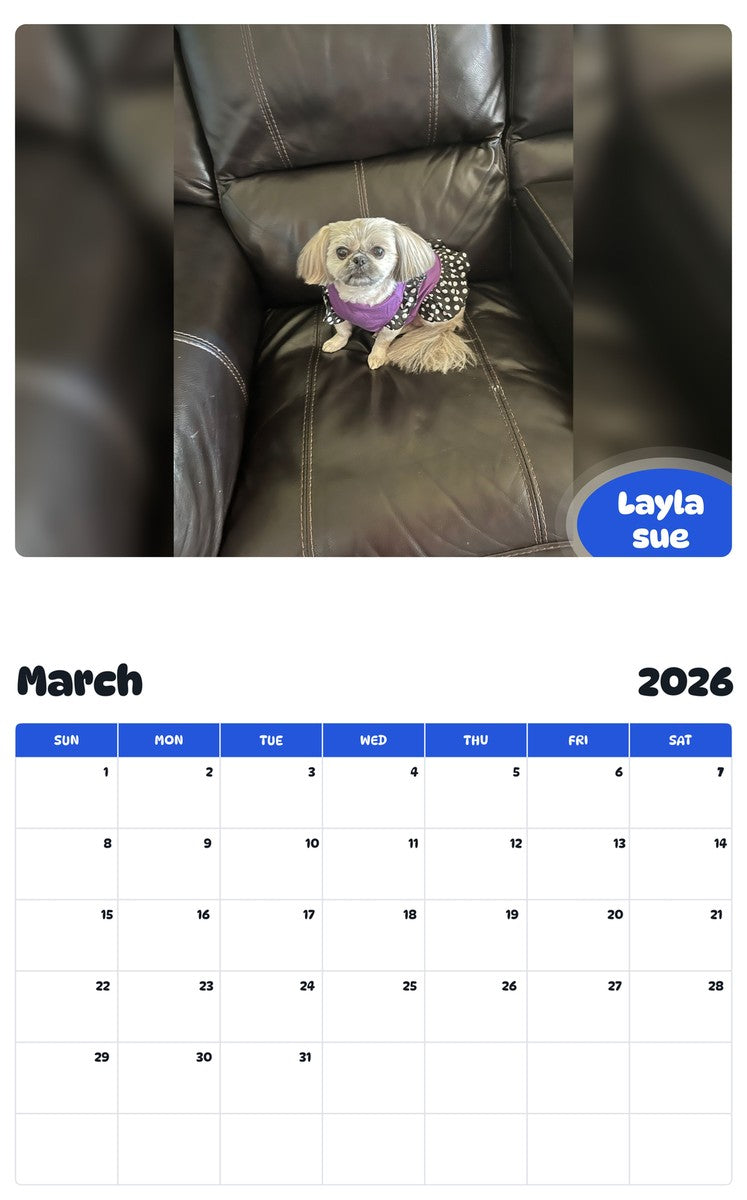 November 2025 - October 2026 Layla sue - Pawidols Pet Calendar