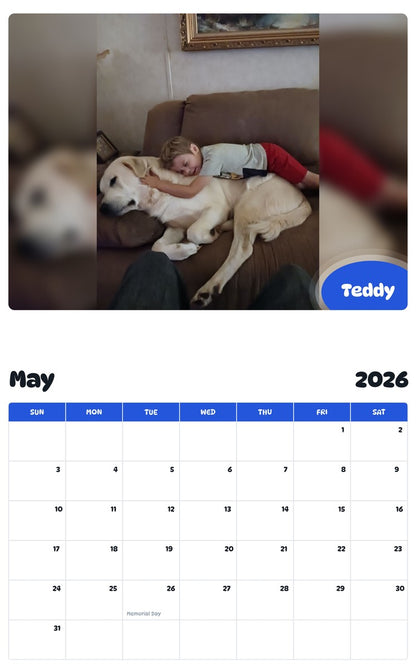 2026 - 2027 Teddy - Pawidols Pet Calendar