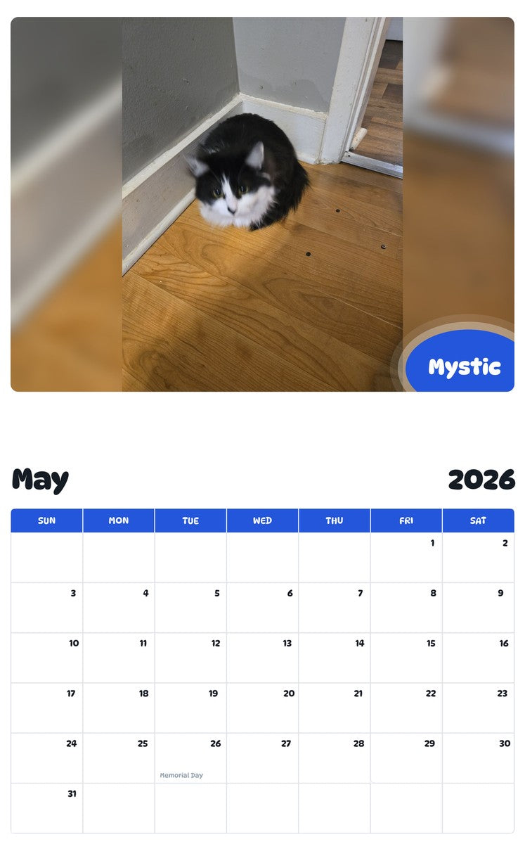 2026 - 2027 Mystic - Pawidols Pet Calendar