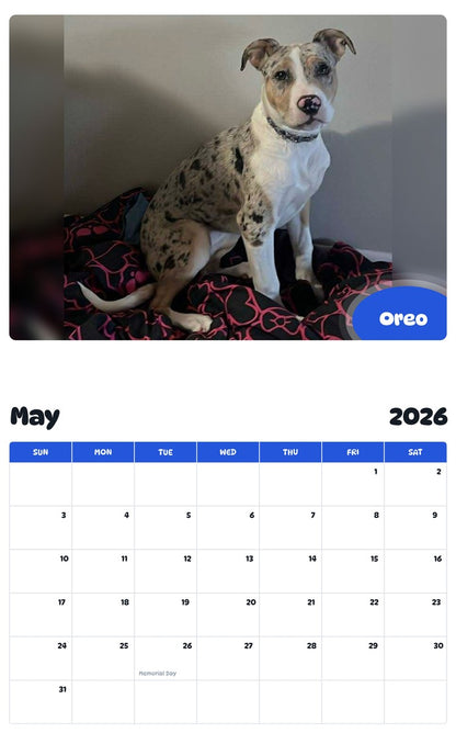 2026 - 2027 Oreo - Pawidols Pet Calendar