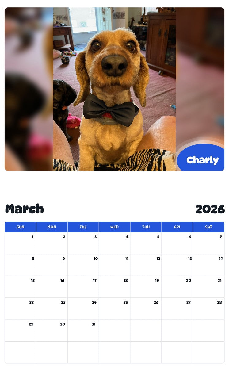 November 2025 - October 2026 Charly - Pawidols Pet Calendar