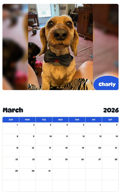 November 2025 - October 2026 Charly - Pawidols Pet Calendar