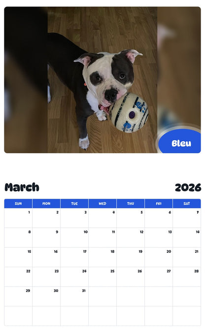 November 2025 - October 2026 Bleu - Pawidols Pet Calendar