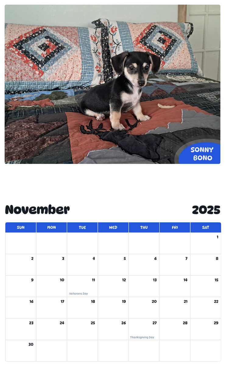 July 2025 - June 2026 Sonny Bono - Pawidols Pet Calendar