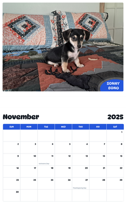 July 2025 - June 2026 Sonny Bono - Pawidols Pet Calendar