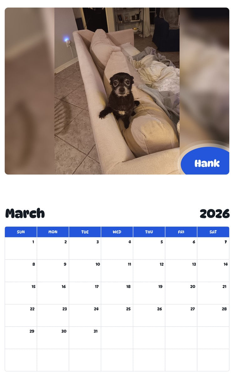 November 2025 - October 2026 Hank - Pawidols Pet Calendar