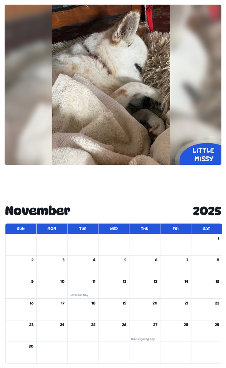 July 2025 - June 2026 Little Missy - Pawidols Pet Calendar