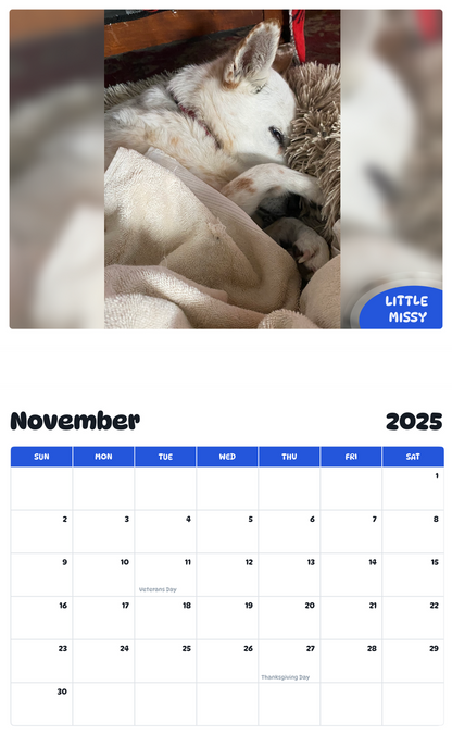 July 2025 - June 2026 Little Missy - Pawidols Pet Calendar