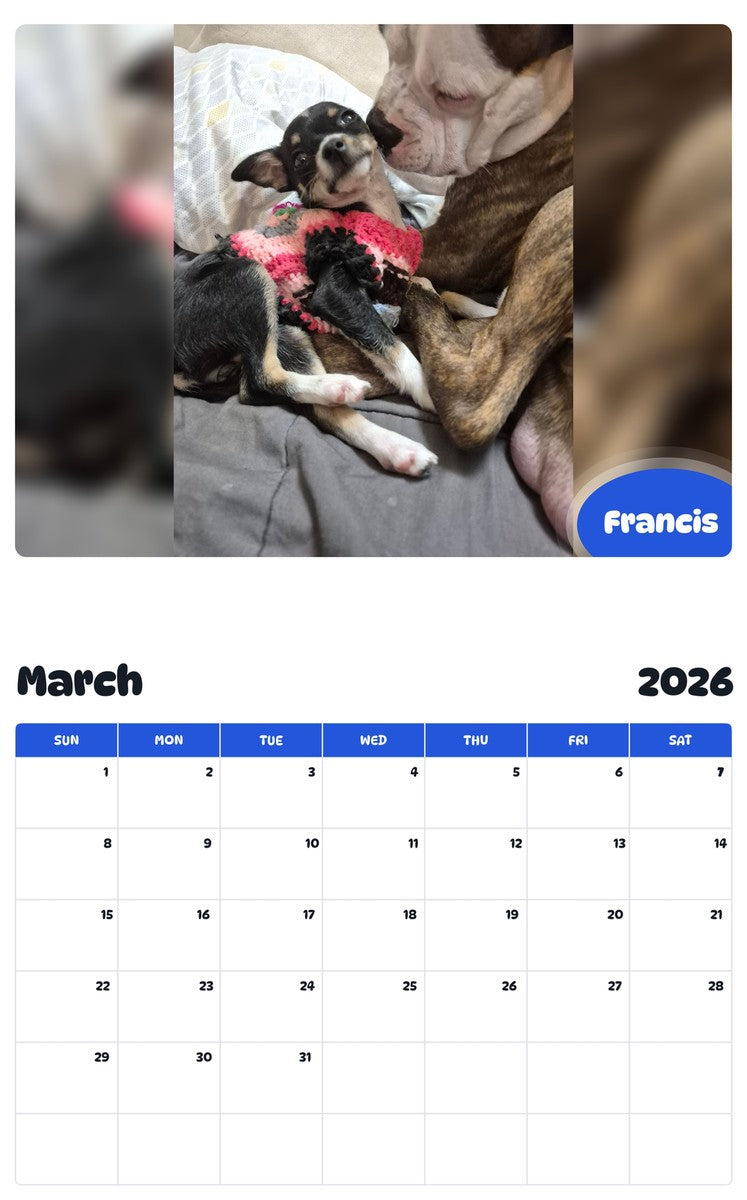 November 2025 - October 2026 Francis - Pawidols Pet Calendar