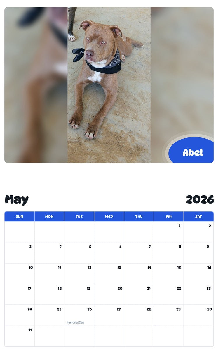 2026 - 2027 Abel - Pawidols Pet Calendar