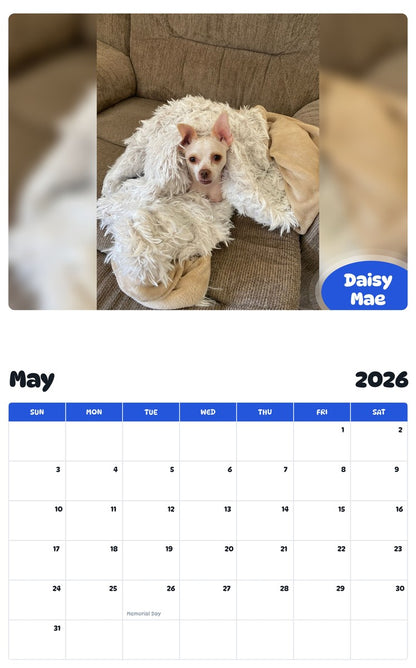 2026 - 2027 Daisy Mae - Pawidols Pet Calendar