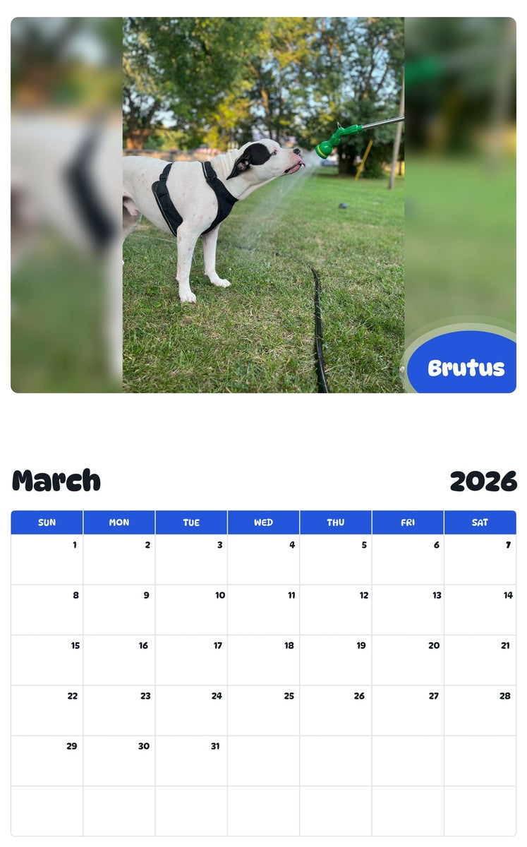 November 2025 - October 2026 Brutus - Pawidols Pet Calendar