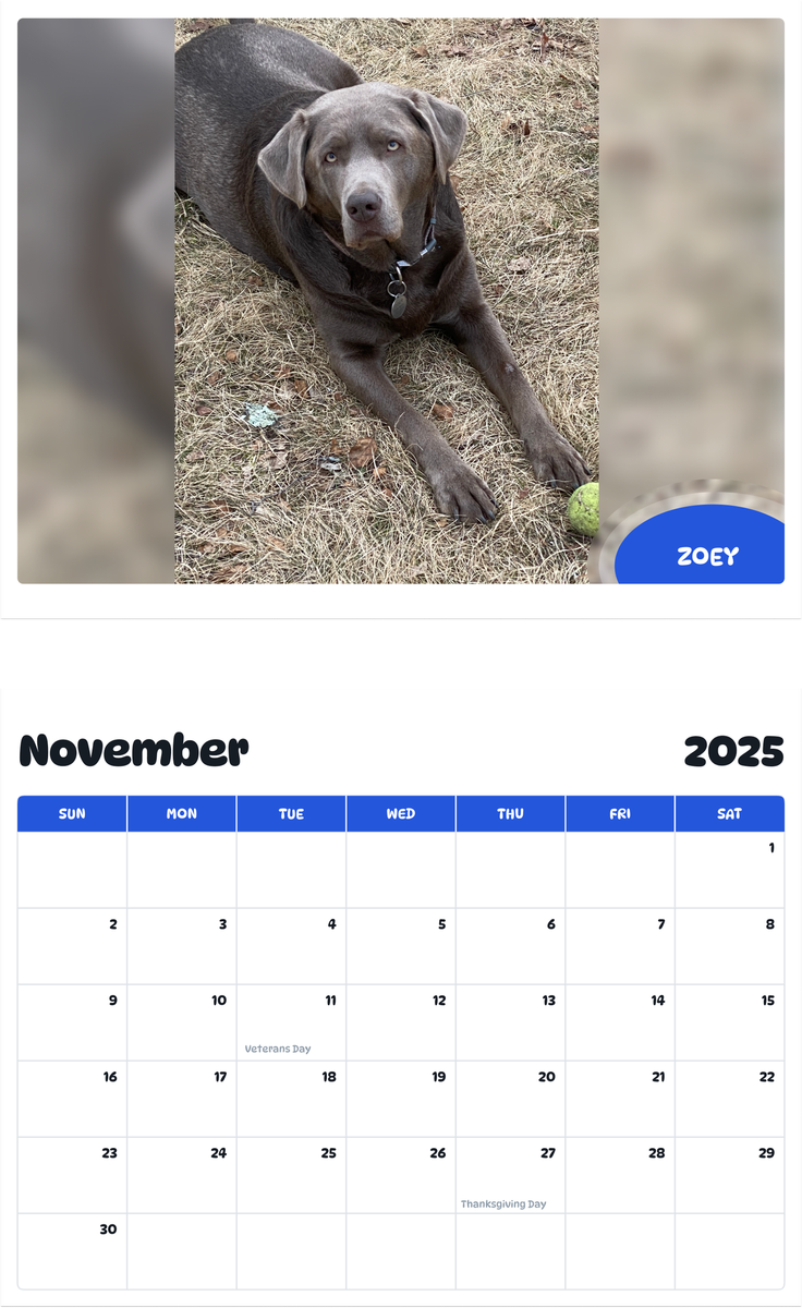 July 2025 - June 2026 Zoey - Pawidols Pet Calendar