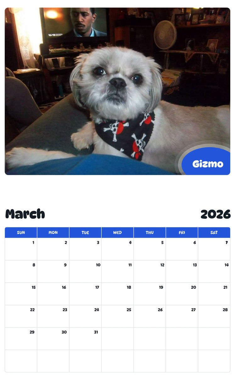 November 2025 - October 2026 Gizmo - Pawidols Pet Calendar