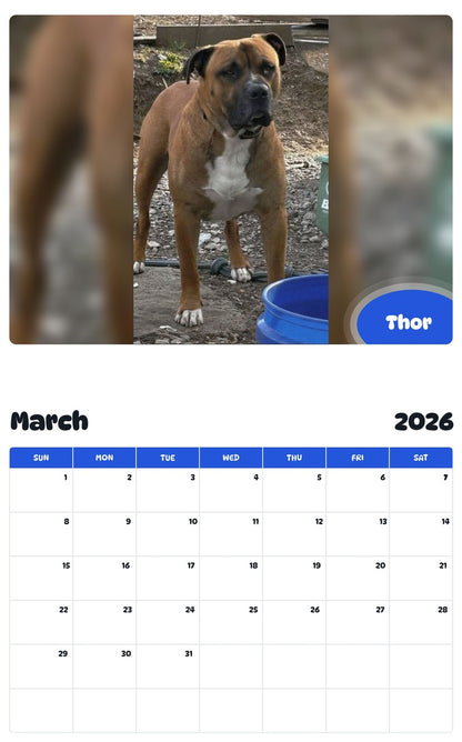 November 2025 - October 2026 Thor - Pawidols Pet Calendar