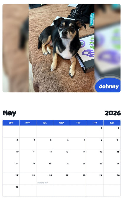 2026 - 2027 Johnny - Pawidols Pet Calendar
