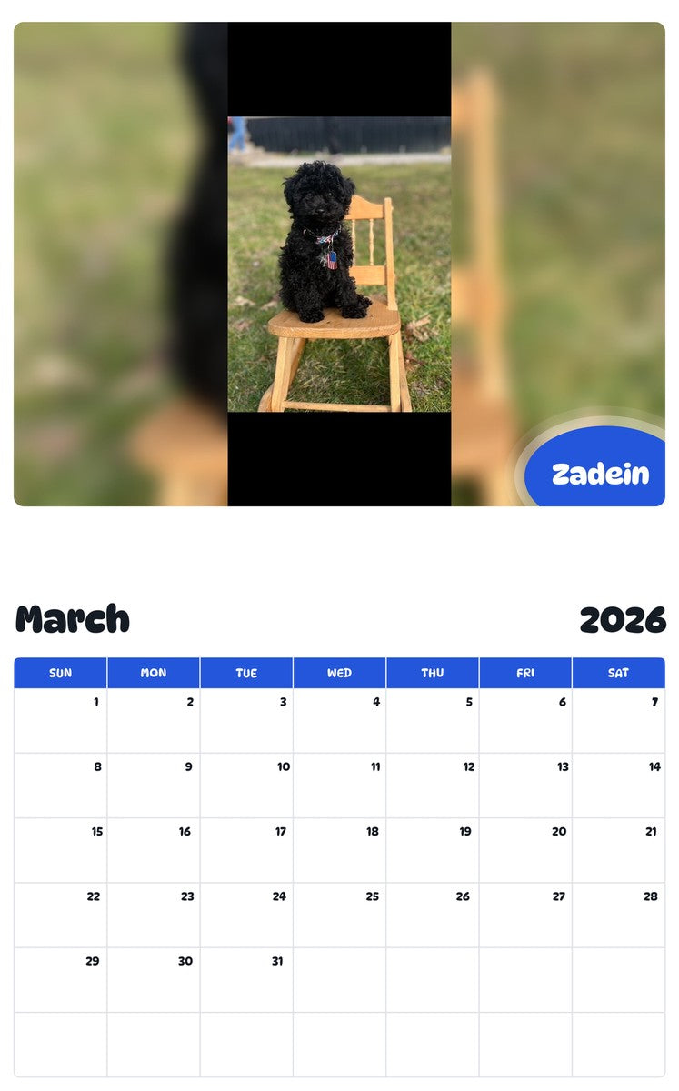 November 2025 - October 2026 Zadein - Pawidols Pet Calendar