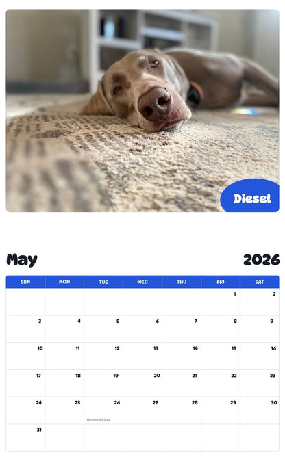 2026 - 2027 Diesel - Pawidols Pet Calendar