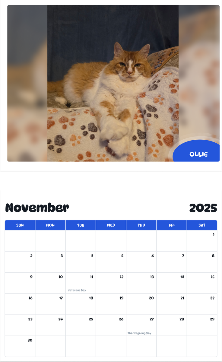 July 2025 - June 2026 Ollie - Pawidols Pet Calendar