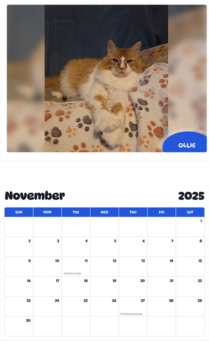 July 2025 - June 2026 Ollie - Pawidols Pet Calendar