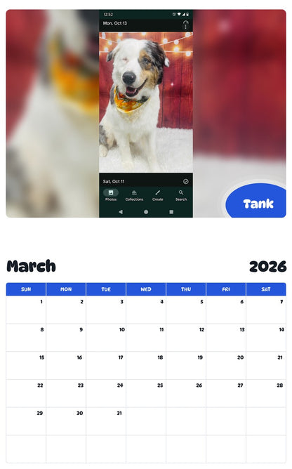 November 2025 - October 2026 Tank - Pawidols Pet Calendar