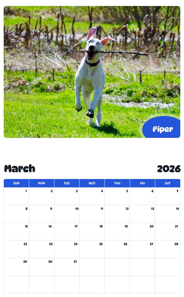November 2025 - October 2026 Piper - Pawidols Pet Calendar