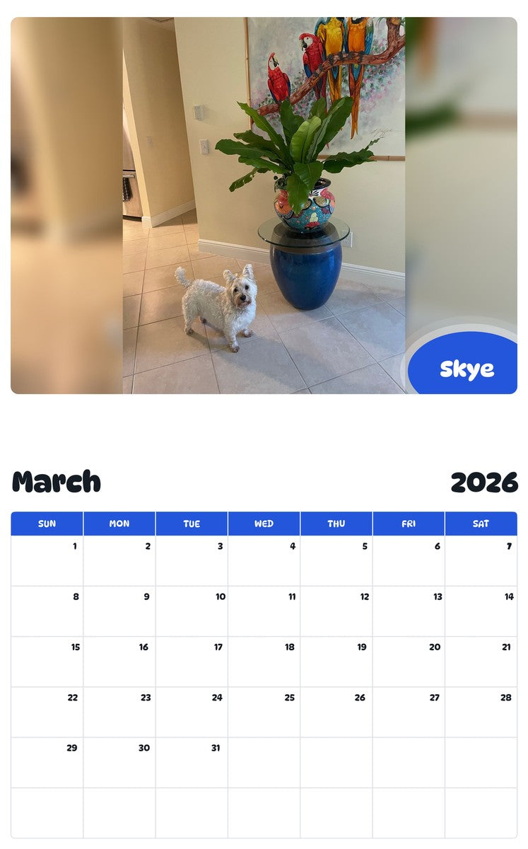 November 2025 - October 2026 Skye - Pawidols Pet Calendar
