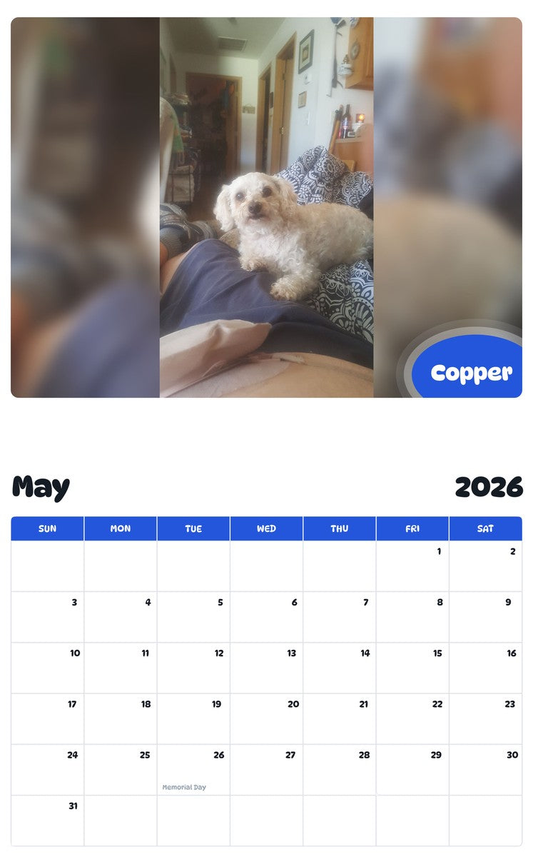2026 - 2027 Copper - Pawidols Pet Calendar