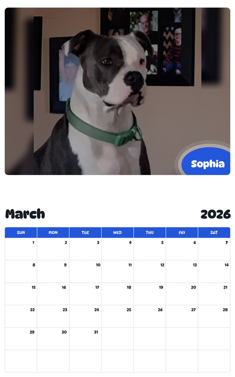 November 2025 - October 2026 Sophia - Pawidols Pet Calendar