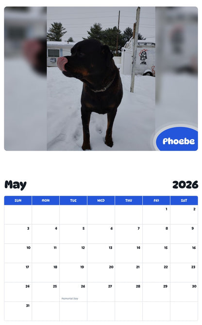 2026 - 2027 Phoebe - Pawidols Pet Calendar