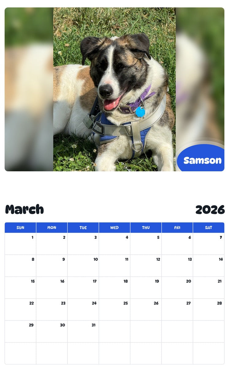 November 2025 - October 2026 Samson - Pawidols Pet Calendar