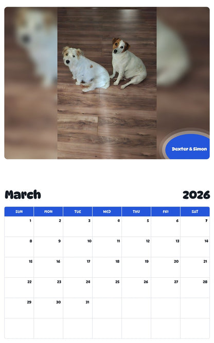 November 2025 - October 2026 Dexter & Simon - Pawidols Pet Calendar