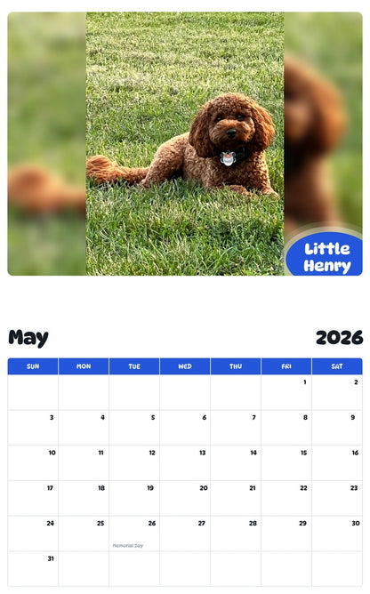 2026 - 2027 Little Henry - Pawidols Pet Calendar