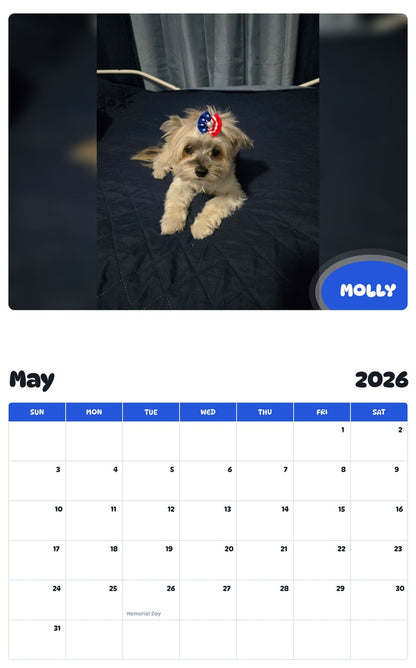 2026 - 2027 MOLLY - Pawidols Pet Calendar