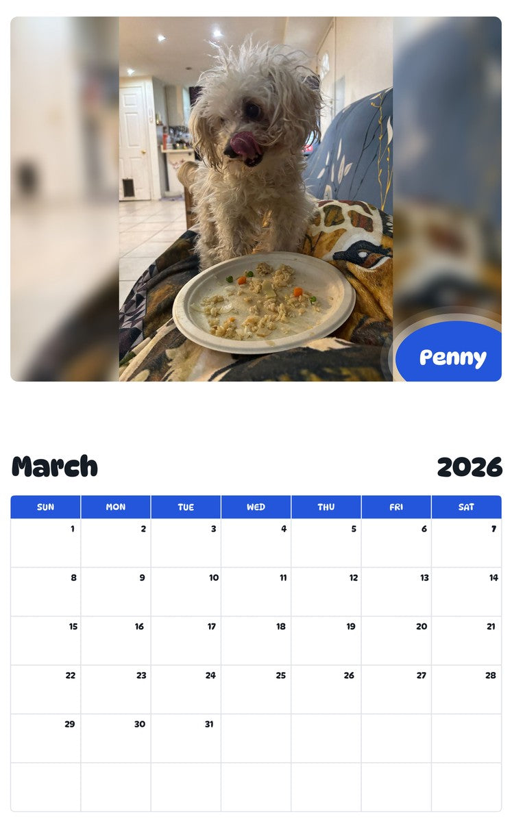 November 2025 - October 2026 Penny - Pawidols Pet Calendar