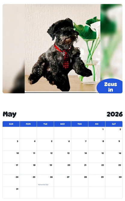 2026 - 2027 Zeus in - Pawidols Pet Calendar