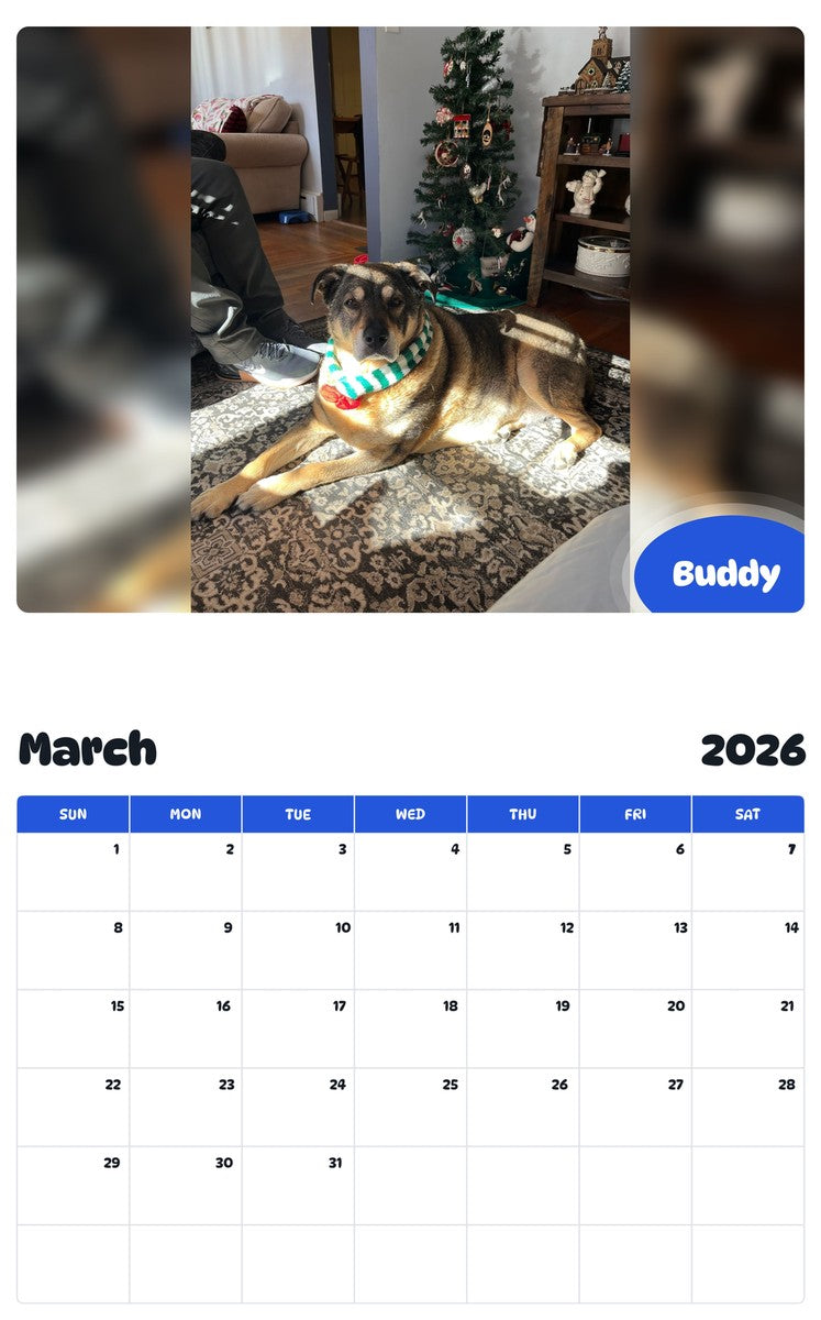 November 2025 - October 2026 Buddy - Pawidols Pet Calendar