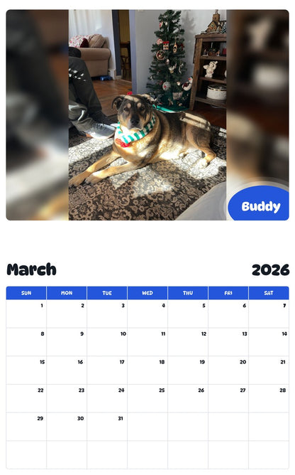 November 2025 - October 2026 Buddy - Pawidols Pet Calendar