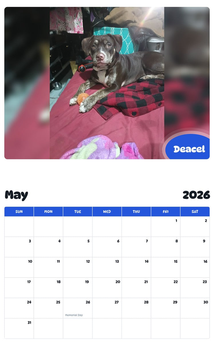 2026 - 2027 Deacel - Pawidols Pet Calendar