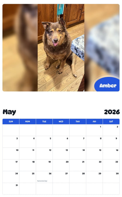 2026 - 2027 Amber - Pawidols Pet Calendar