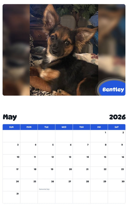 2026 - 2027 Bentley - Pawidols Pet Calendar