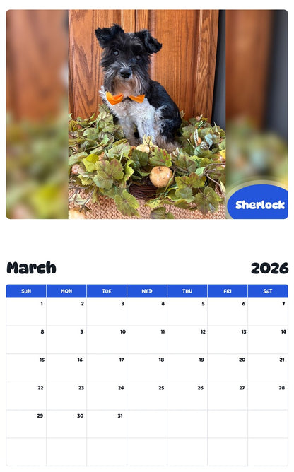 November 2025 - October 2026 Sherlock - Pawidols Pet Calendar