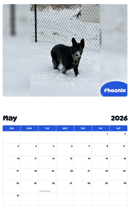 2026 - 2027 Phoenix - Pawidols Pet Calendar