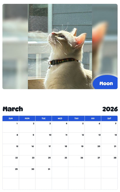 November 2025 - October 2026 Moon - Pawidols Pet Calendar