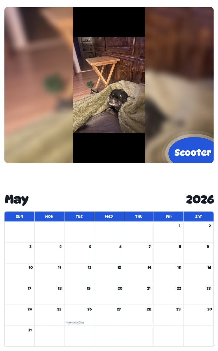 2026 - 2027 Scooter - Pawidols Pet Calendar
