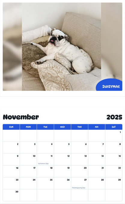 July 2025 - June 2026 Daisymae - Pawidols Pet Calendar