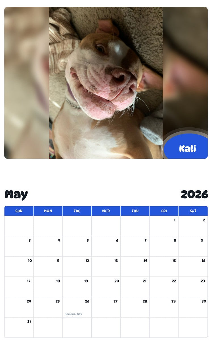 2026 - 2027 Kali - Pawidols Pet Calendar