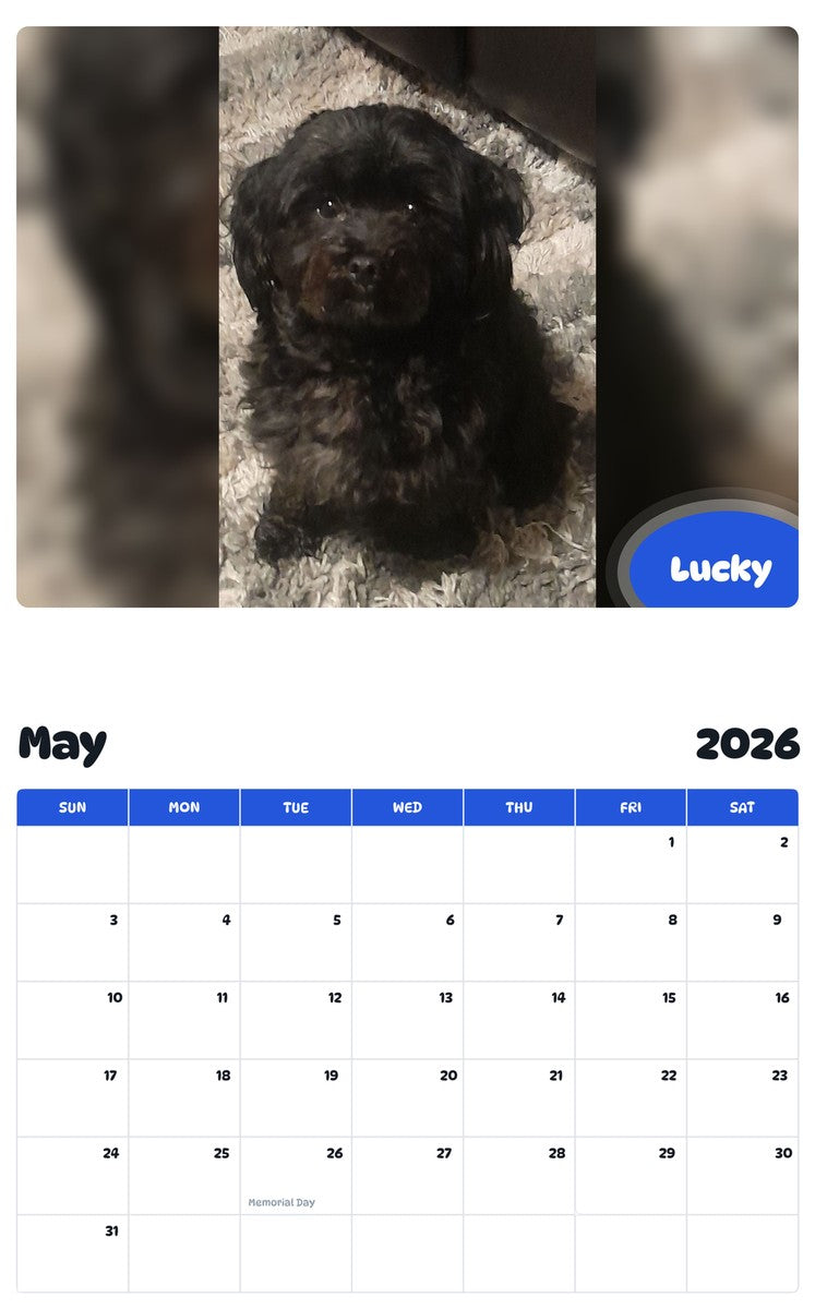 2026 - 2027 Lucky - Pawidols Pet Calendar
