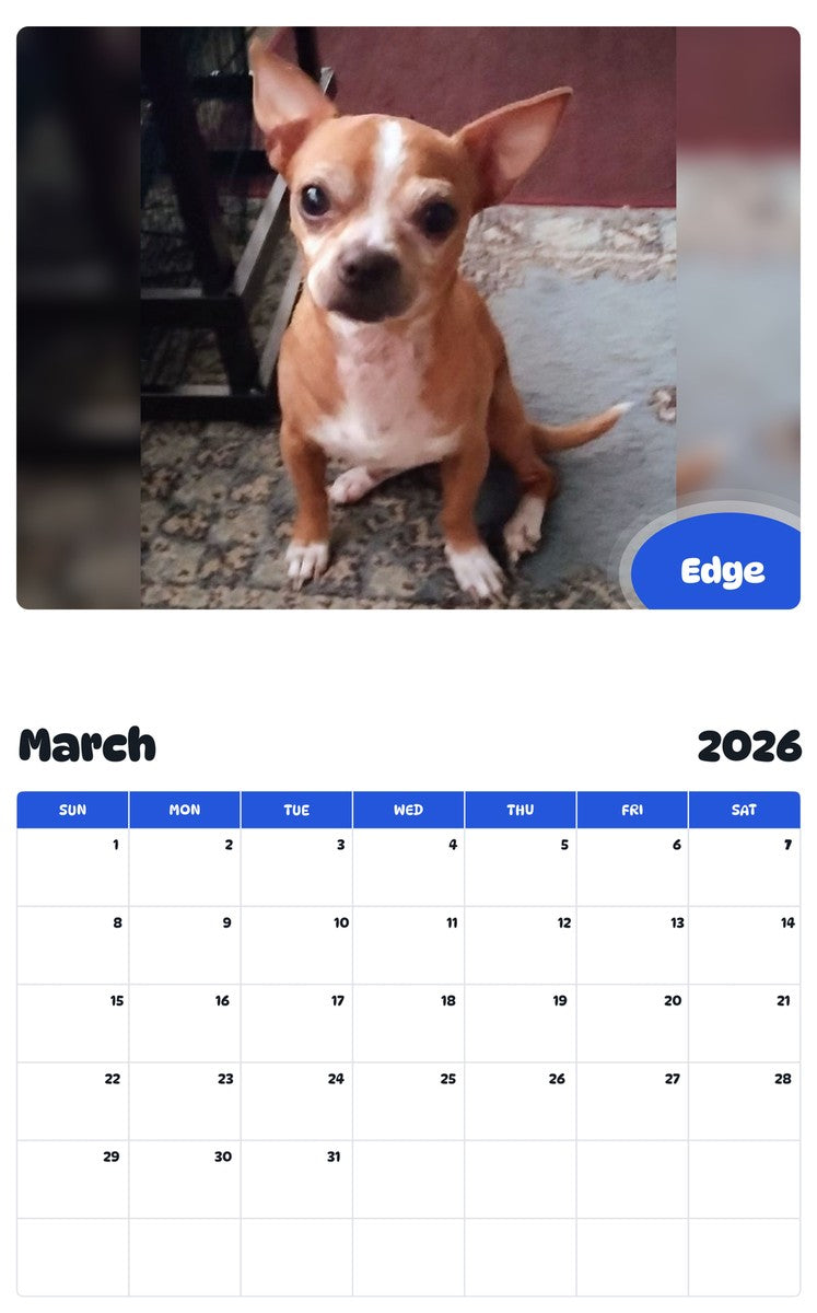 November 2025 - October 2026 Edge - Pawidols Pet Calendar
